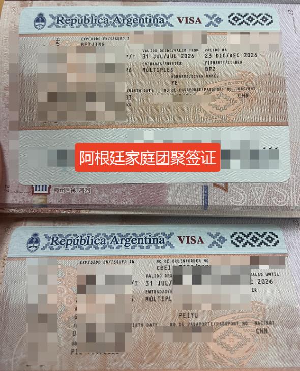  阿根廷家团签证案例